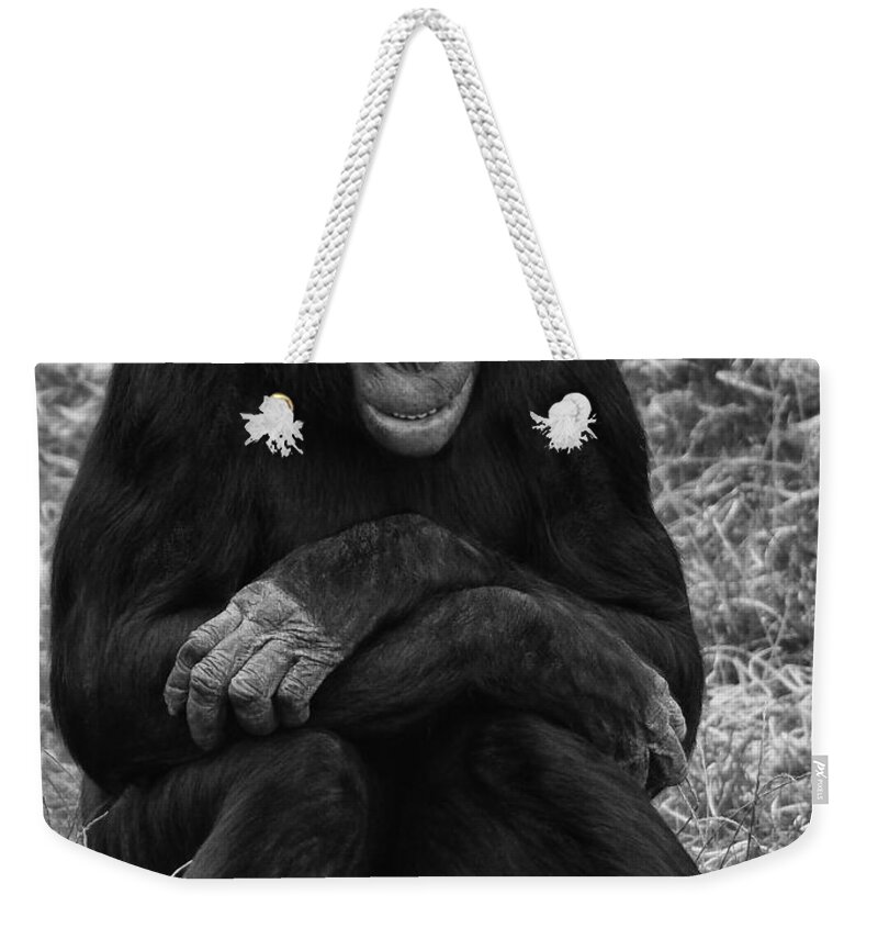 Chimp Weekender Tote Bag featuring the photograph Wanna be like you by Nick Bywater