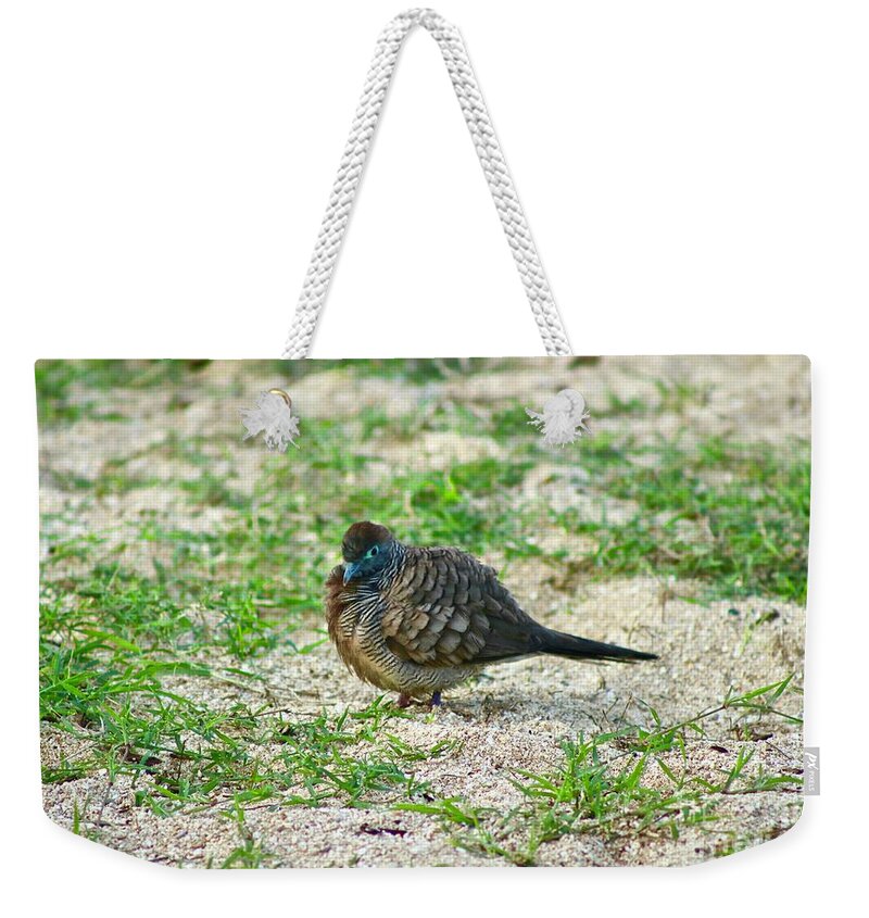 Dove Weekender Tote Bag featuring the photograph Warming Up by Craig Wood