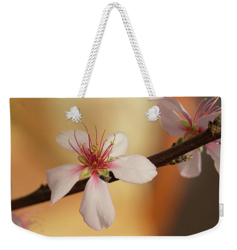Cherry Weekender Tote Bag featuring the photograph Warmth of hope. by Elena Perelman