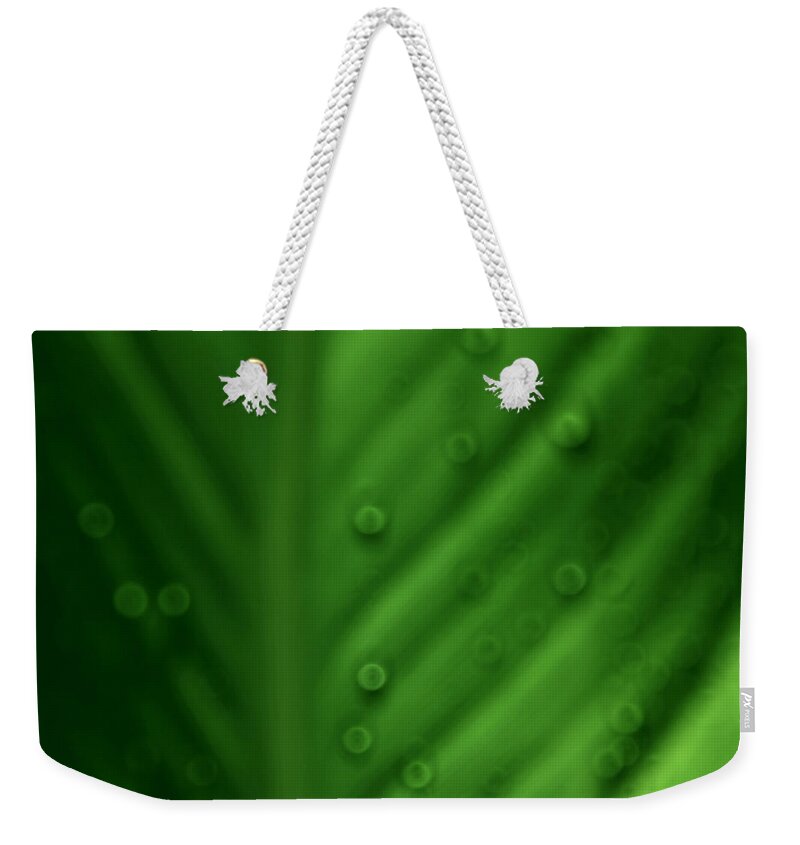 Leaf Weekender Tote Bag featuring the photograph Warts by Donna Blackhall