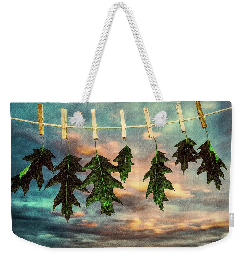 Nature Weekender Tote Bag featuring the photograph Wash Day by Bob Orsillo