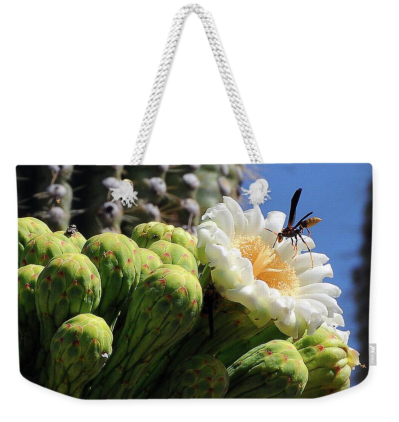 Wasp Weekender Tote Bag featuring the photograph Wasp on Saguaro Bloom by Ted Keller