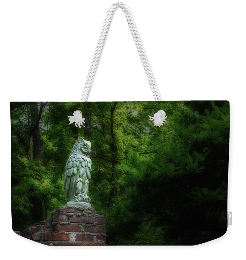 Owl Weekender Tote Bag featuring the photograph Watcher by Tom Mc Nemar