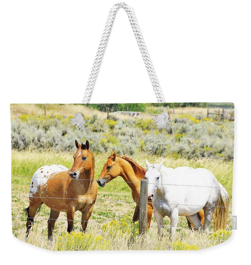 Horses Weekender Tote Bag featuring the photograph Watchful by Merle Grenz