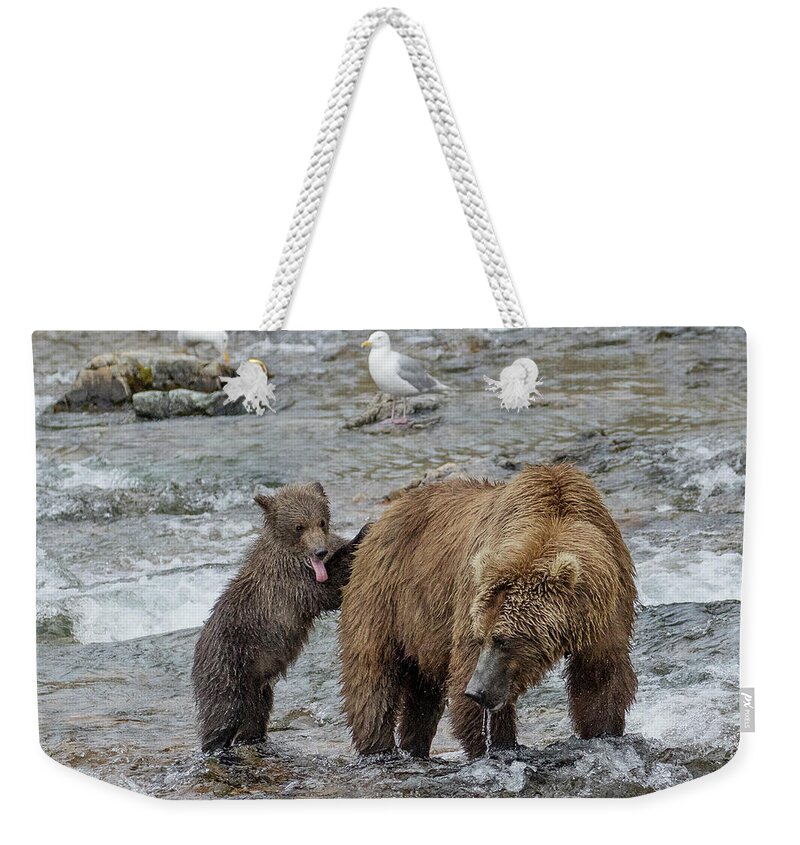 Alaska Weekender Tote Bag featuring the photograph Watching for the Sockeye Salmon by Cheryl Strahl