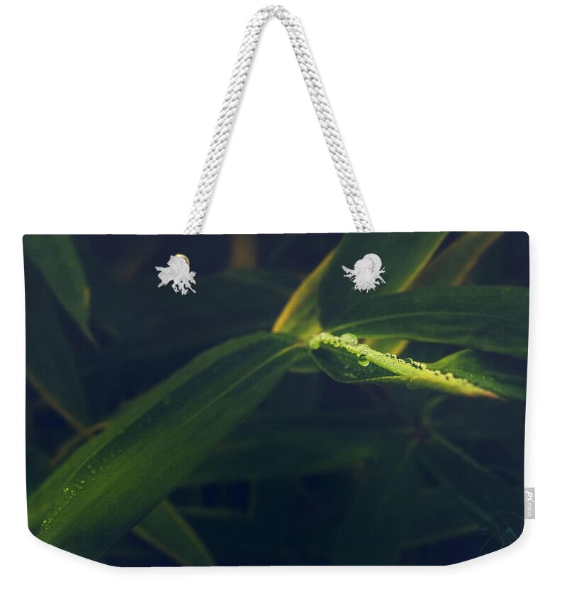 Dew Weekender Tote Bag featuring the photograph Water Catcher by Gene Garnace