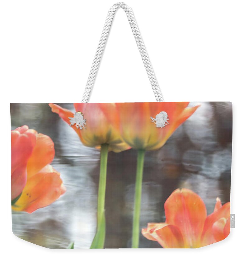 Garden Gardening Botanic Botany Tulips Flower Flowers Nature Natural Outdoors Outside Pool Water Bokeh Boylston Ma Mass Massachusetts Brian Hale Brianhalephoto New England Newengland U.s.a. Usa Reflection Reflections Pond Weekender Tote Bag featuring the photograph Water Color Reflections 1 by Brian Hale