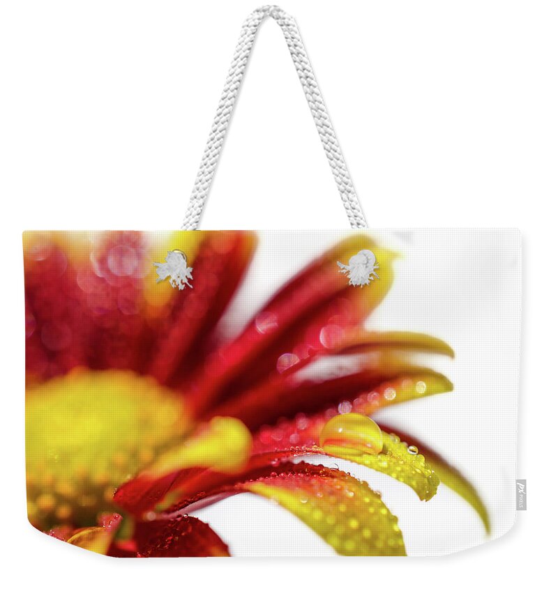Mum Weekender Tote Bag featuring the photograph Water Droplets On Mum Petals Nature / Botanical / Floral Photograph by PIPA Fine Art - Simply Solid