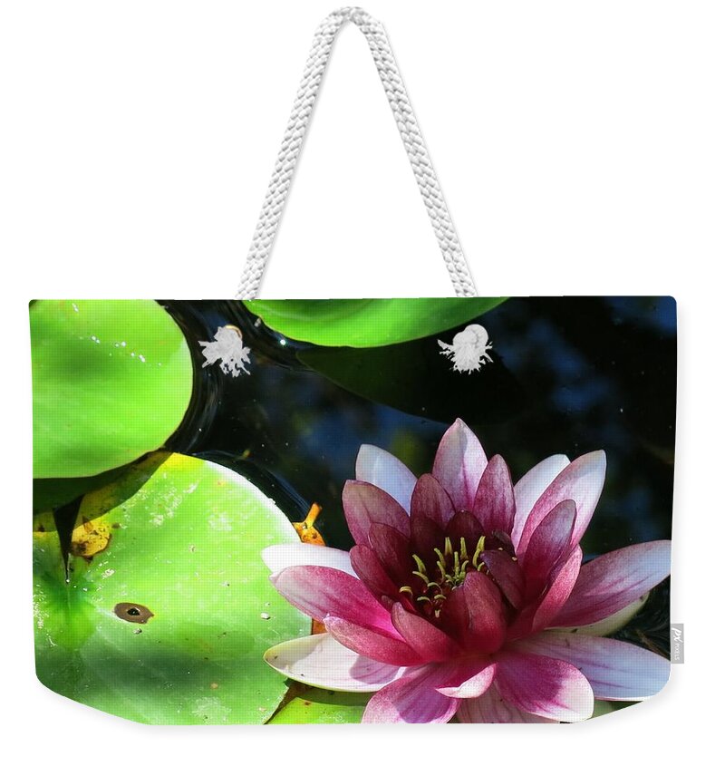 Flowers Weekender Tote Bag featuring the photograph Water Lilly by Betty Buller Whitehead