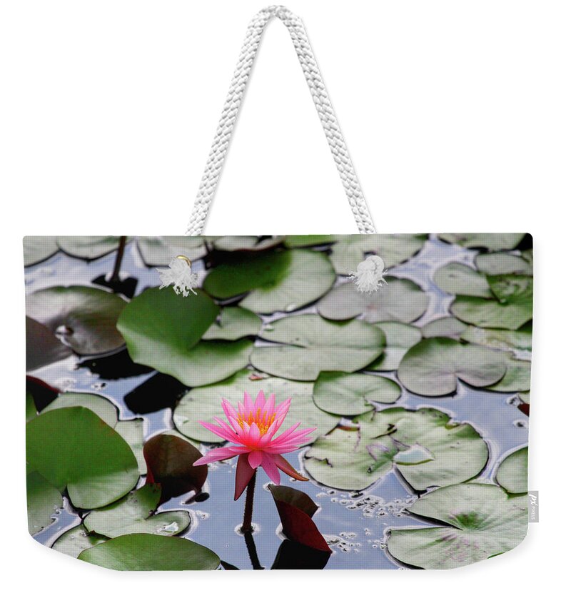 Water Lily Weekender Tote Bag featuring the photograph Water Lily in the Pond by Jackson Pearson