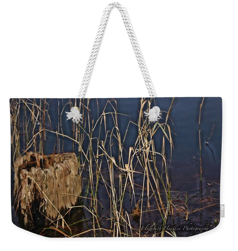  Weekender Tote Bag featuring the photograph Water Logged by Elizabeth Harllee