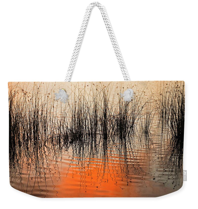 Sunset Weekender Tote Bag featuring the photograph Water reeds at sunset by Catherine Reading