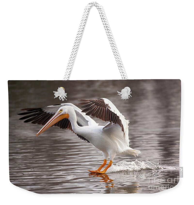 Pelican Photography Weekender Tote Bag featuring the photograph Water Skiing by Jerry Cowart