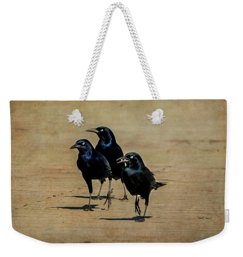 Crows Weekender Tote Bag featuring the photograph We Bad by Cathy Kovarik