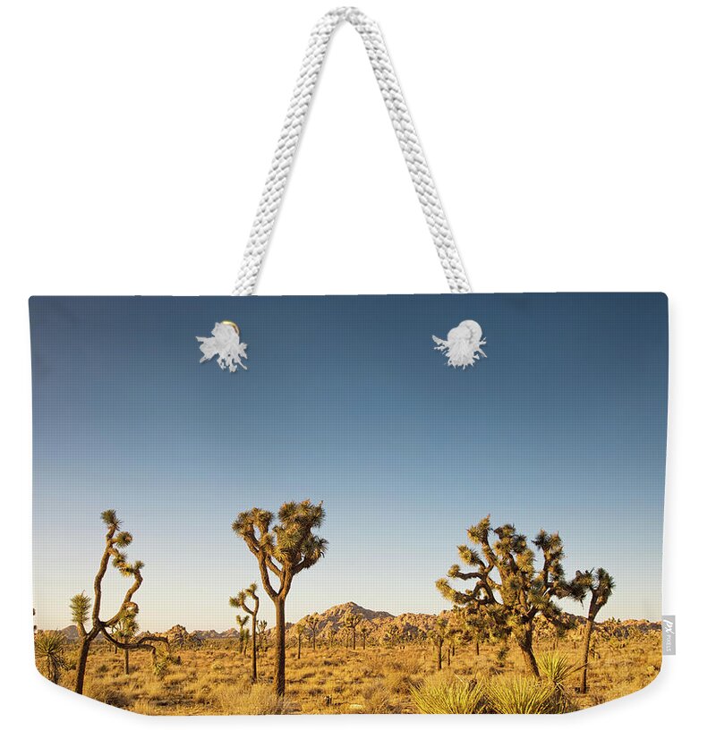 Joshua Tree National Park Weekender Tote Bag featuring the photograph We love this sunset by Kunal Mehra
