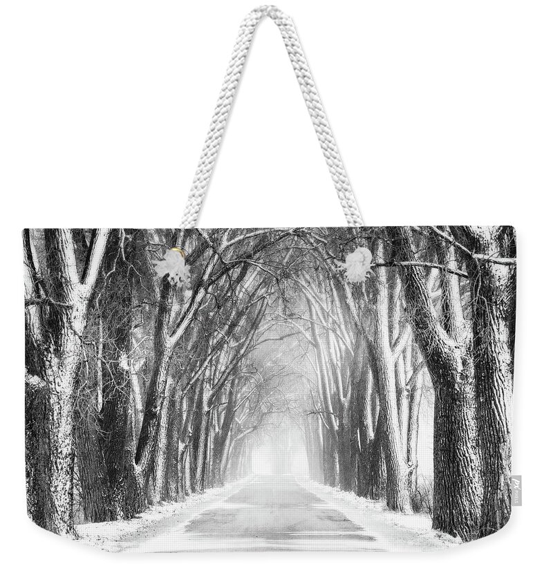 Weary Road Haunted Tree Tunnel Snow Blizzard Tunnel Vertical B&w Landscape Evansville Wi Wisconsin Path Lane Weekender Tote Bag featuring the photograph Weary of Winter #2 by Peter Herman