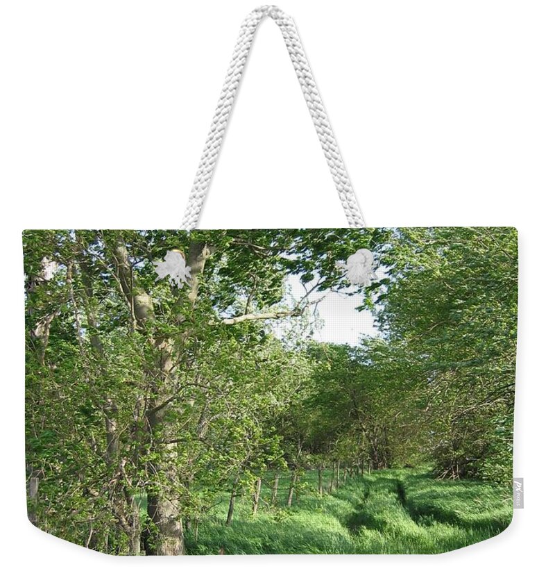 Landscape Weekender Tote Bag featuring the photograph Weary Traveler by Dylan Punke