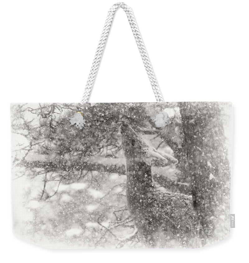 Deer Weekender Tote Bag featuring the photograph Weathering Winter by Jim Garrison