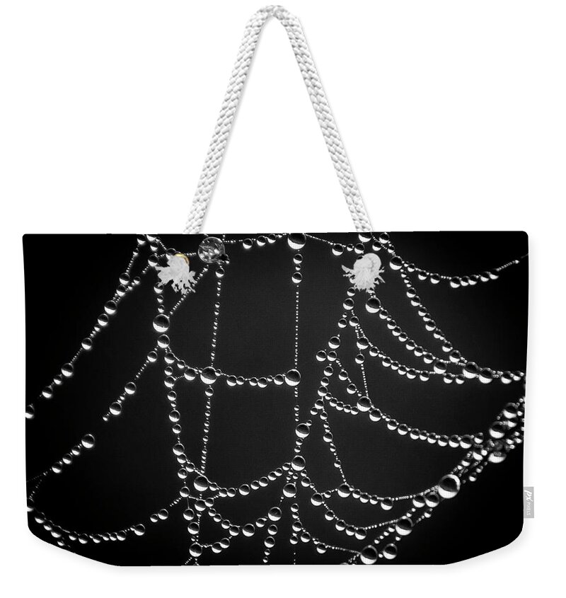 Web Weekender Tote Bag featuring the photograph Web and Water by Andy Smetzer