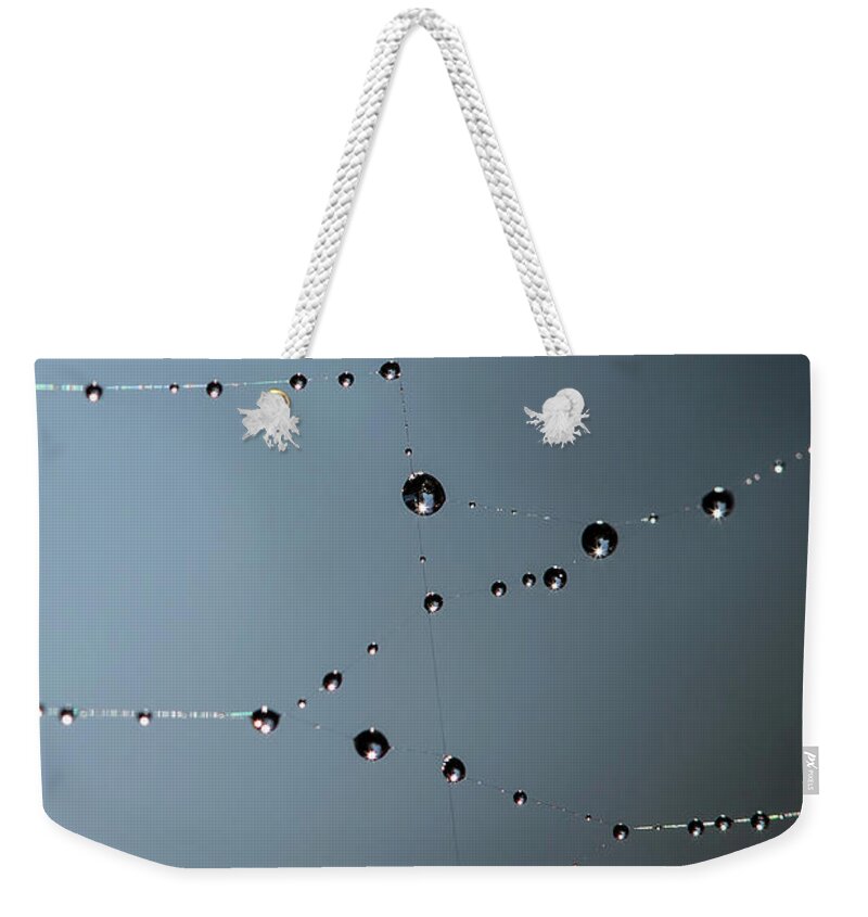 Web Weekender Tote Bag featuring the photograph Web Water by Rebecca Cozart