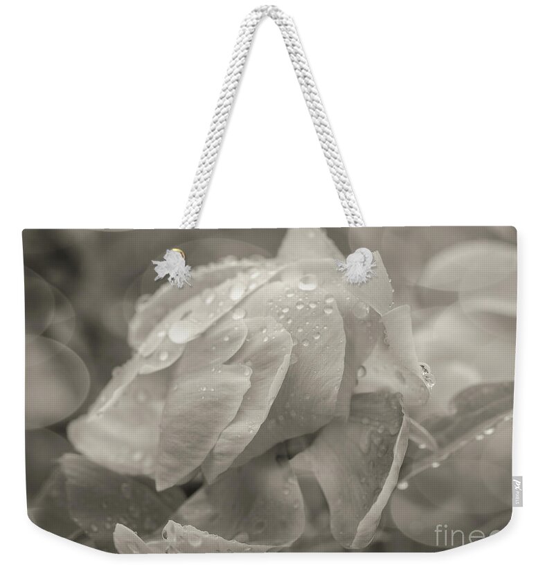 Wedding Day Bliss Weekender Tote Bag featuring the photograph Wedding Day Bliss by Rachel Cohen