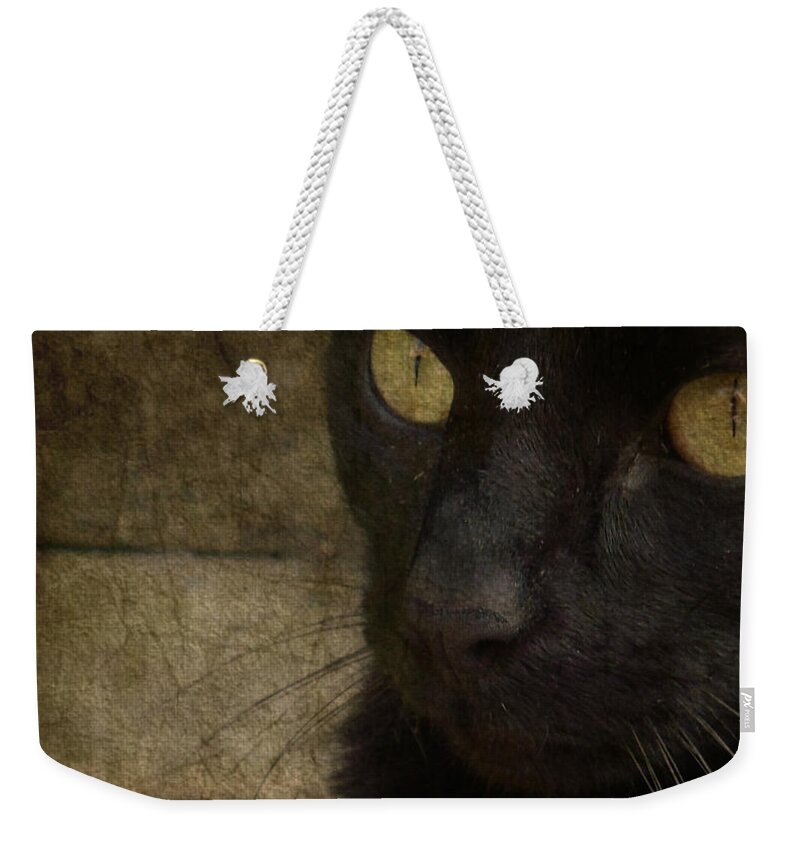 Black Cat Weekender Tote Bag featuring the photograph Wee Sybil by Paul Lovering