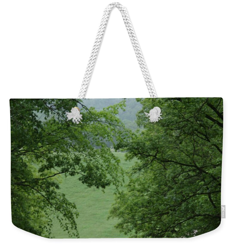 Welcome To Weekender Tote Bag featuring the photograph Welcome by Bjorn Sjogren