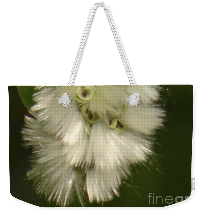 Spring Weekender Tote Bag featuring the photograph Welcome spring by Karin Ravasio