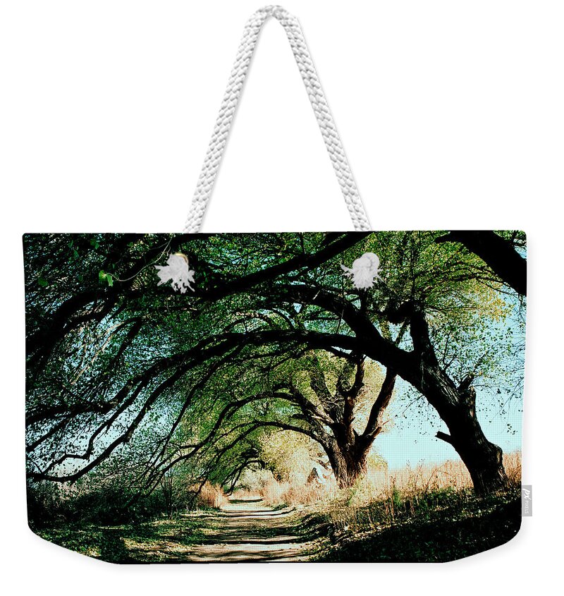 Avenue Weekender Tote Bag featuring the digital art Welkom. Come home with me by Vincent Franco