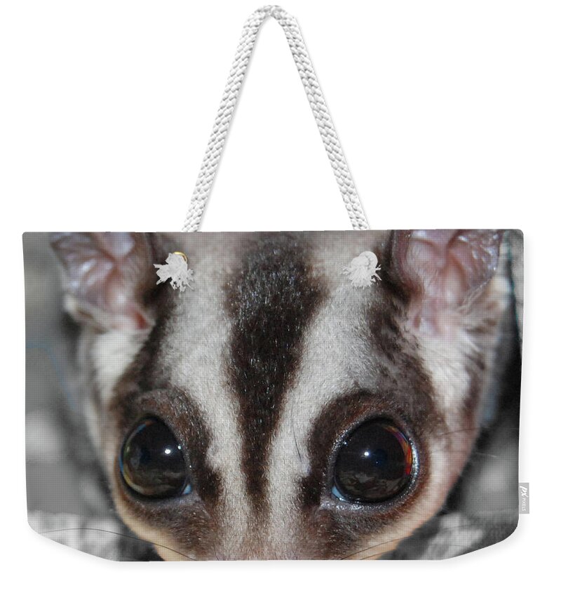 Sugar Glider Weekender Tote Bag featuring the digital art Well Hello There by DigiArt Diaries by Vicky B Fuller