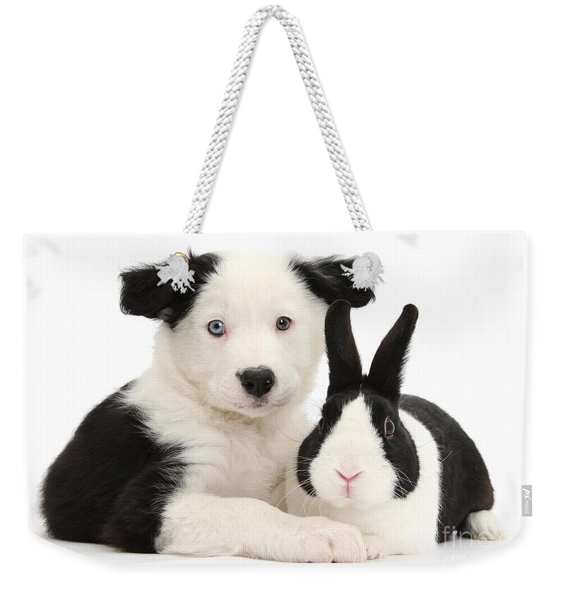 Border Collie Weekender Tote Bag featuring the photograph We're related by marriage by Warren Photographic