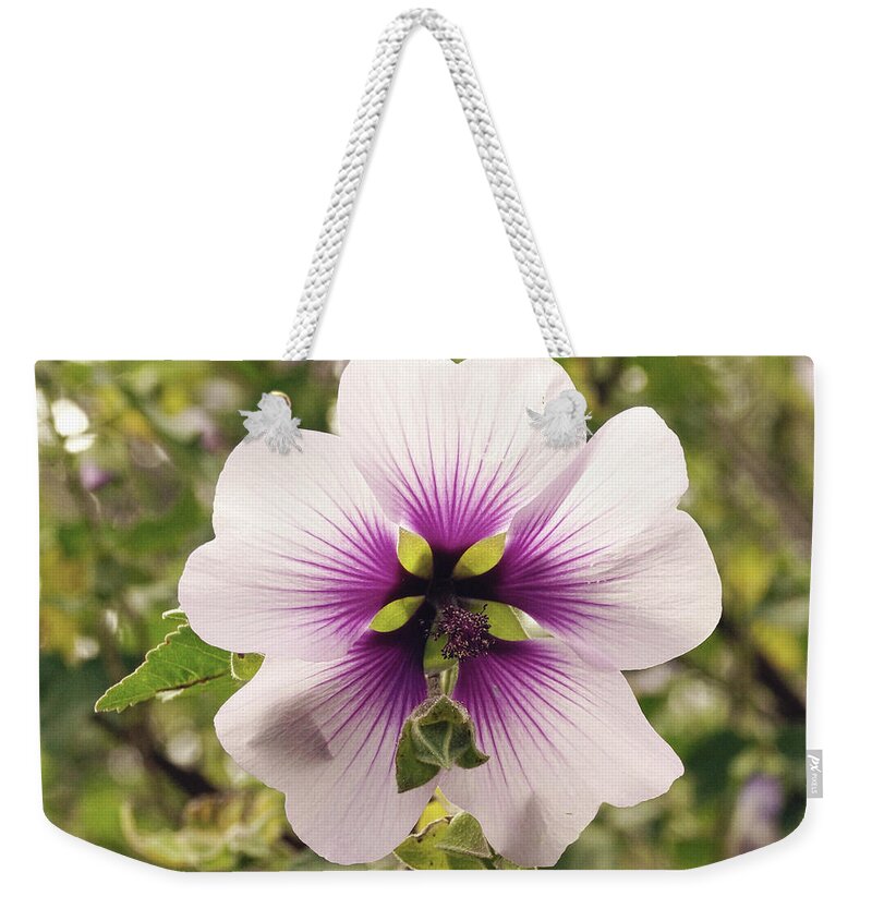 Flower Weekender Tote Bag featuring the photograph Western Australian Native Hibiscus by Cassandra Buckley
