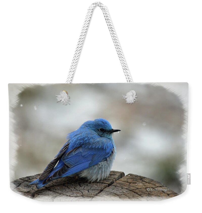 Western Bluebird Weekender Tote Bag featuring the mixed media Mountain Bluebird on Cold Day by Kae Cheatham