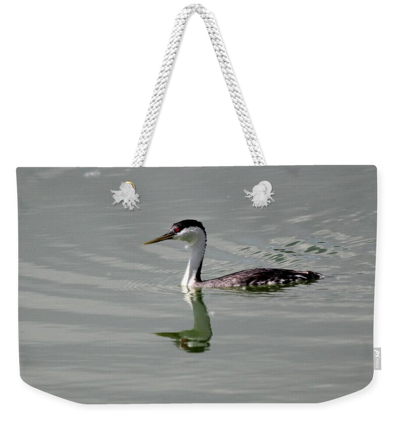 Bird Weekender Tote Bag featuring the photograph Western Grebe by Trent Mallett