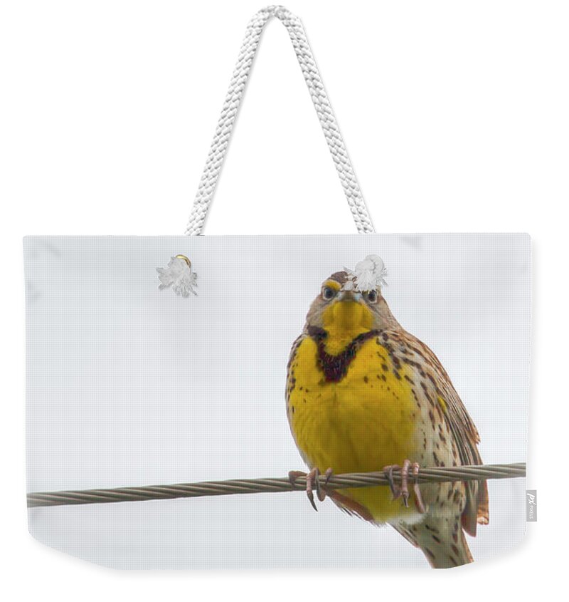 Western Meadowlark Weekender Tote Bag featuring the photograph Western Meadowlark 0750 by Kristina Rinell