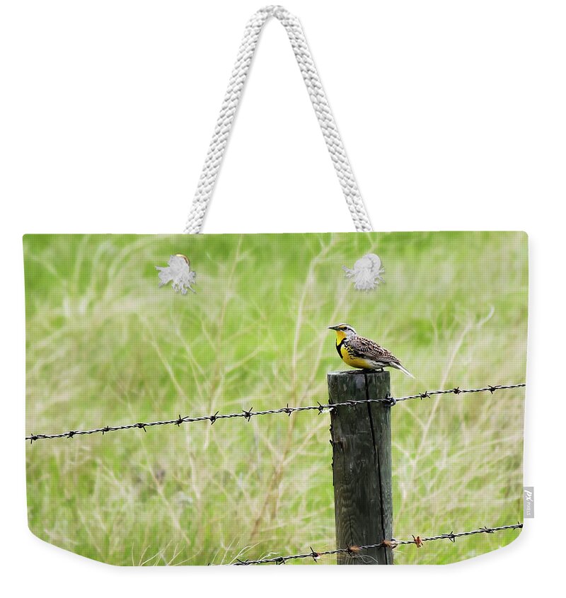 Western Meadowlark Weekender Tote Bag featuring the photograph Western Meadowlark by Ryan Crouse