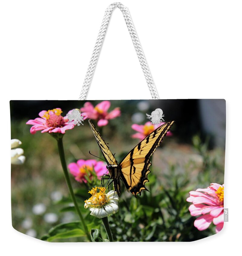 Western Tiger Swallowtail Weekender Tote Bag featuring the photograph Western Tiger Swallowtail 1 by Jean Evans