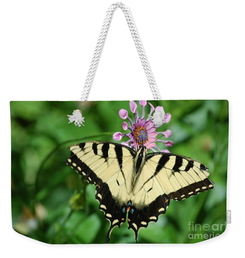 Swallowtail Butterfly Weekender Tote Bag featuring the photograph Western Tiger Swallowtail by Frank Stallone