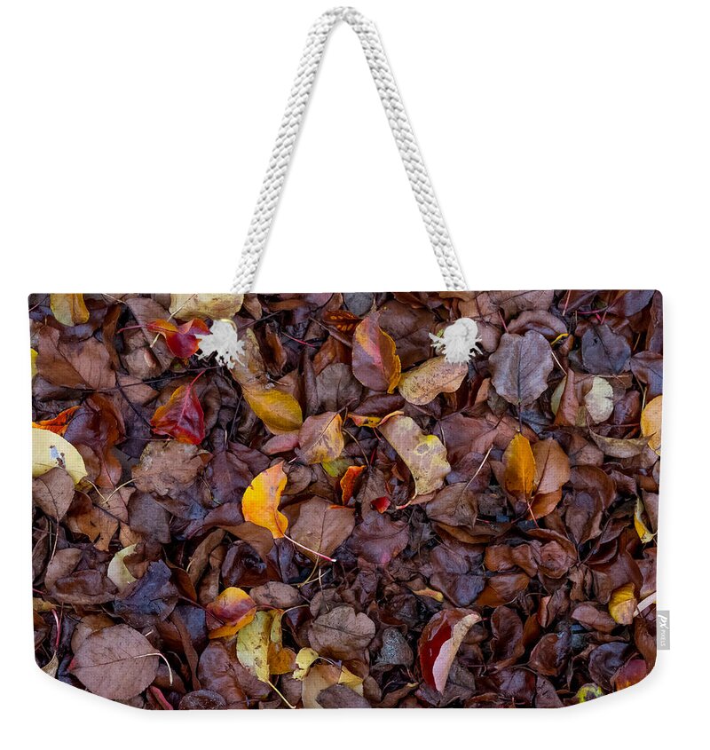 Fall Weekender Tote Bag featuring the photograph Wet Leaves in the Gutter by Derek Dean