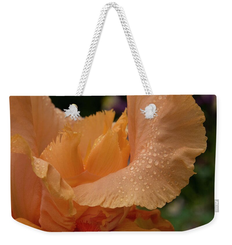 Jean Noren Weekender Tote Bag featuring the photograph Wet Orange Iris Macro by Jean Noren