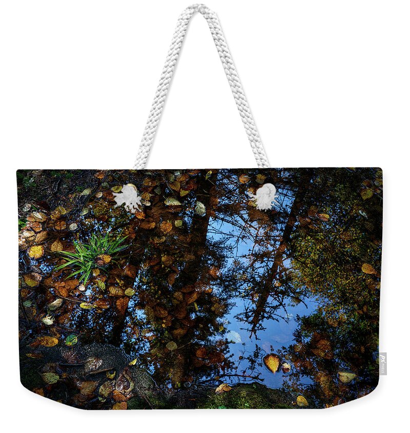 Autumn Weekender Tote Bag featuring the photograph Wetlands by Doug Gibbons
