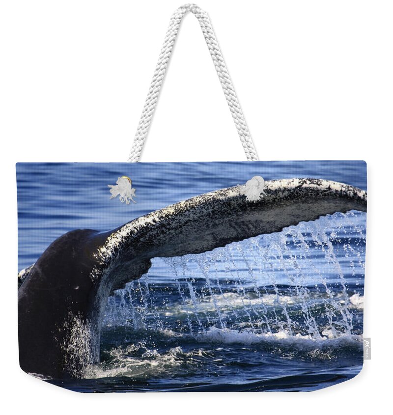 Whale Tail Weekender Tote Bag featuring the photograph Whale Tail by Darius Aniunas