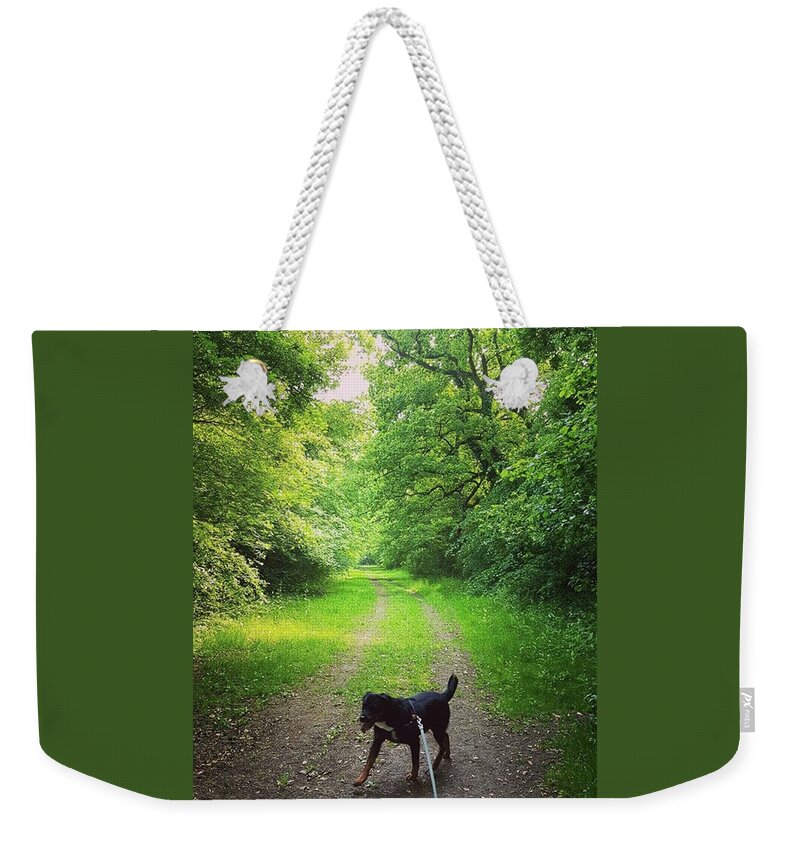 Lovedogs Weekender Tote Bag featuring the photograph Bridleway Dog Walk by Rowena Tutty