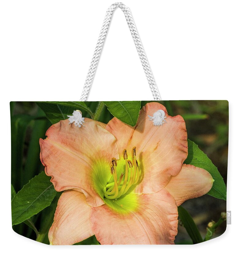 Peach Weekender Tote Bag featuring the photograph What A Peach by Kathy Clark
