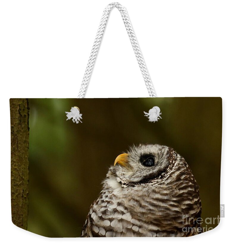 Barred Owl Weekender Tote Bag featuring the photograph What a wonderful world by Heather King