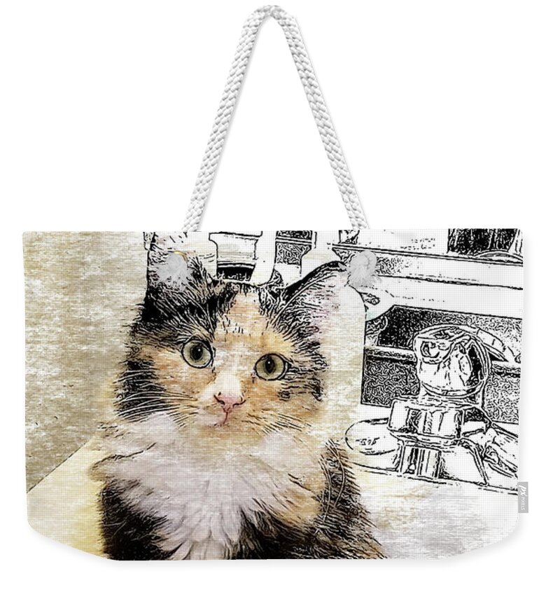 Cat Weekender Tote Bag featuring the digital art What are you doin? by Deb Nakano
