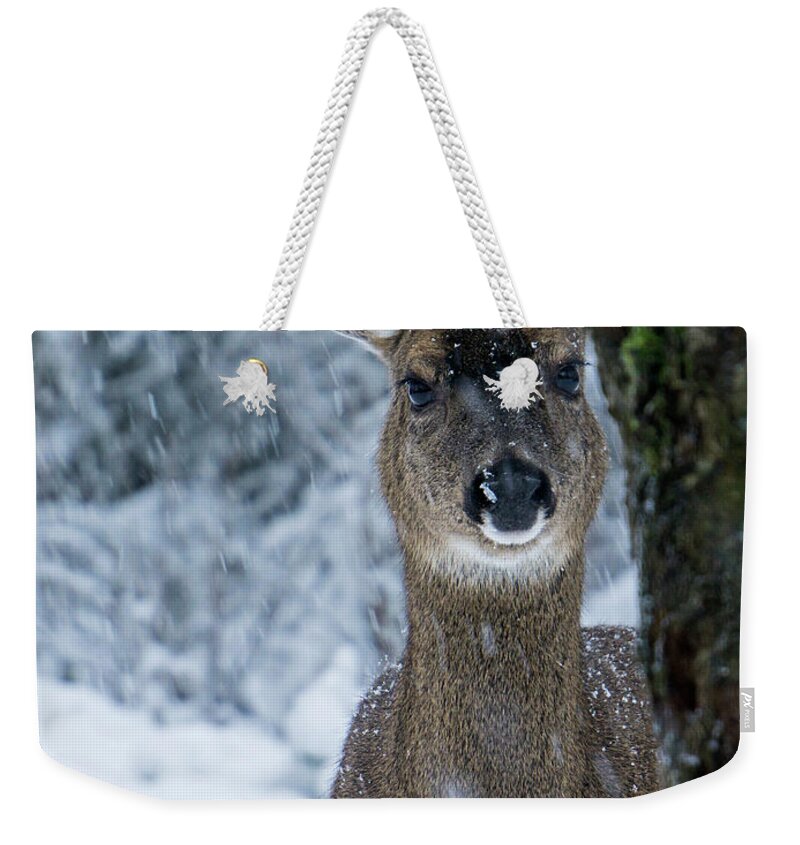 Deer Weekender Tote Bag featuring the photograph What is this - 365-280 by Inge Riis McDonald