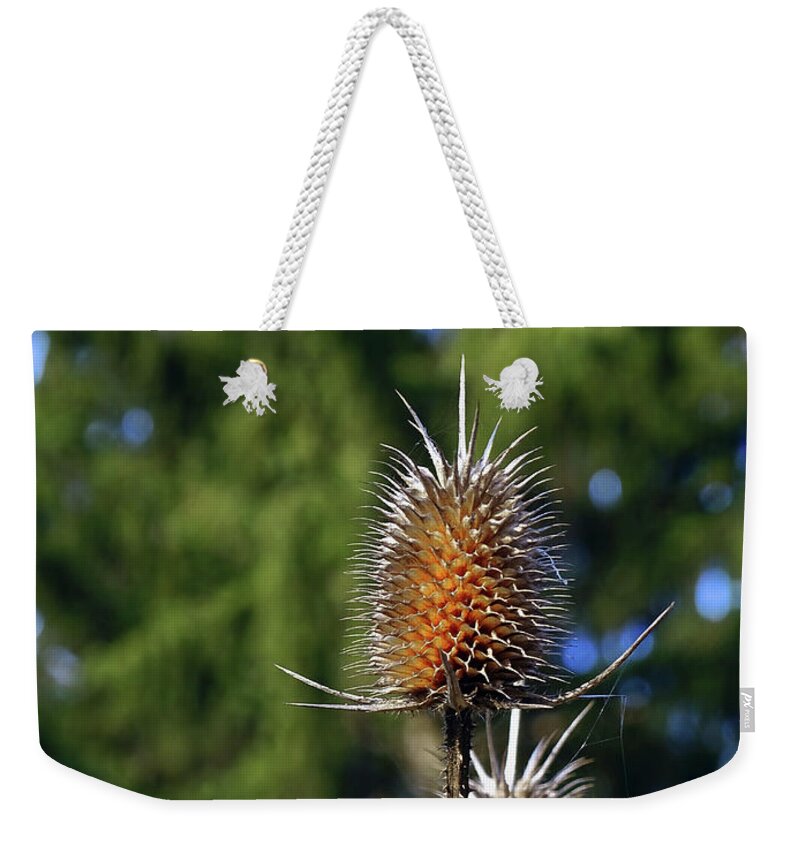 Velcro Weekender Tote Bag featuring the photograph What Remains Behind Us by Jasna Dragun