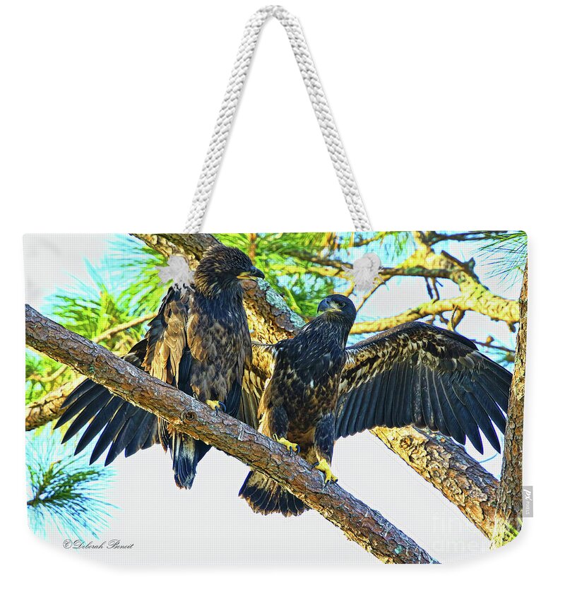 Raptor Weekender Tote Bag featuring the photograph What Shall I Say by Deborah Benoit