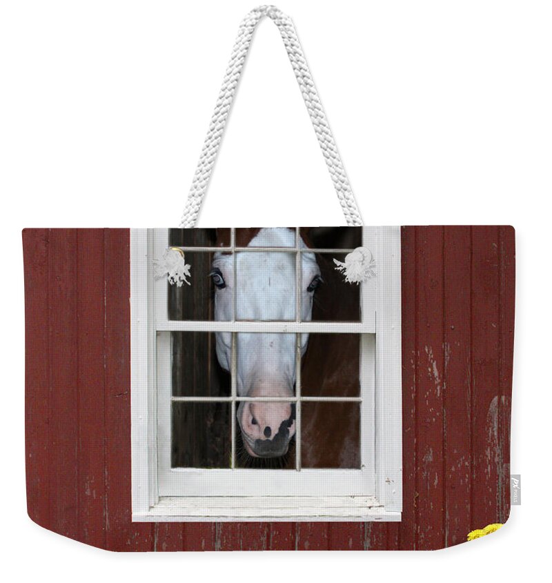 Horse Weekender Tote Bag featuring the photograph What's Out There? by Michele A Loftus